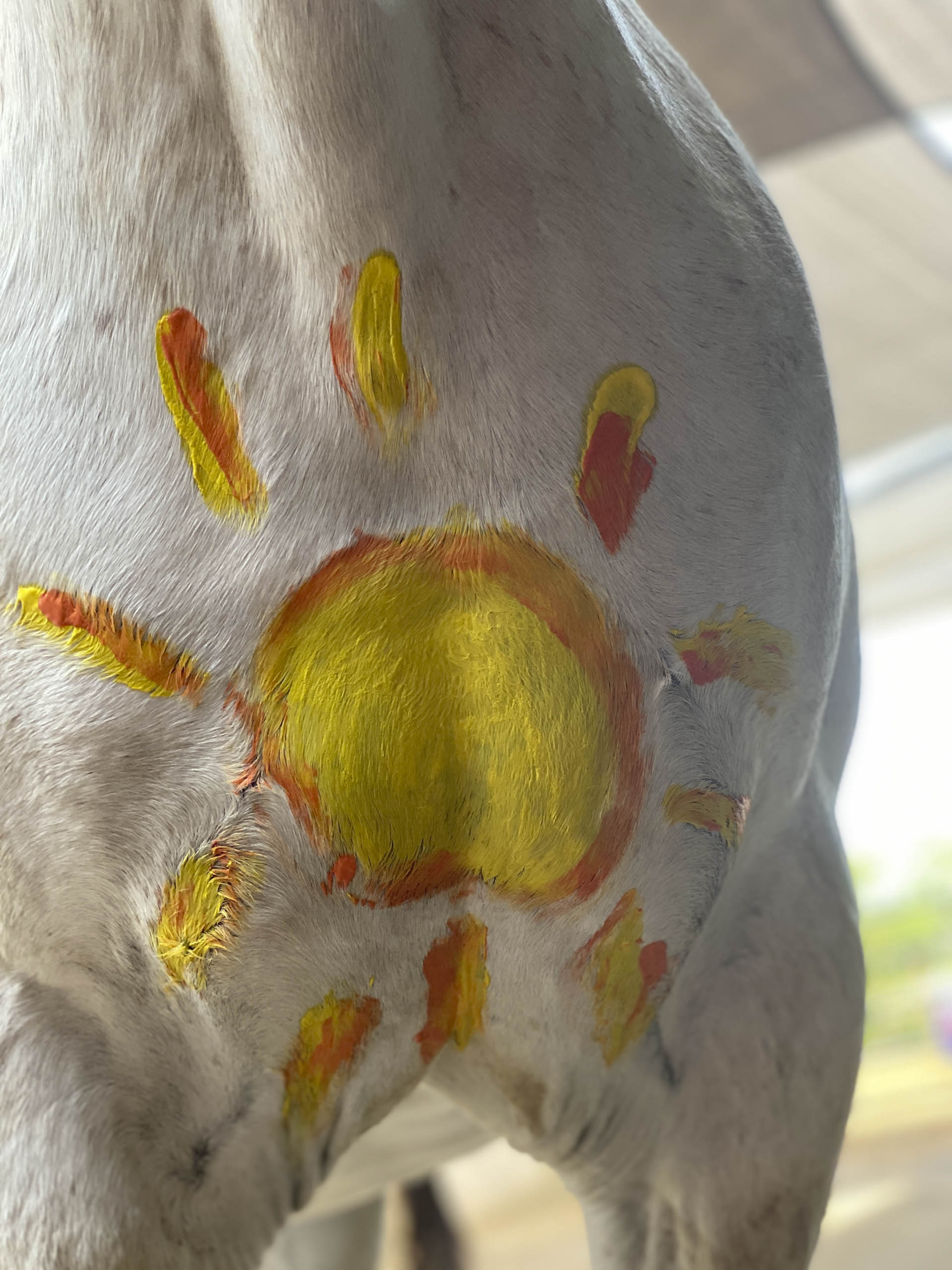 meine ausbildung grundlage meiner arbeit